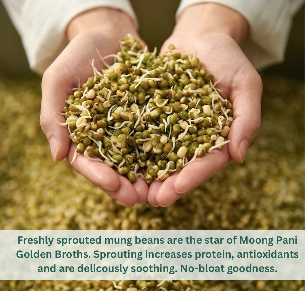 Sprouted Mung Khichari: Mild Ginger & Turmeric | 27g Plant Protein | 3 Servings