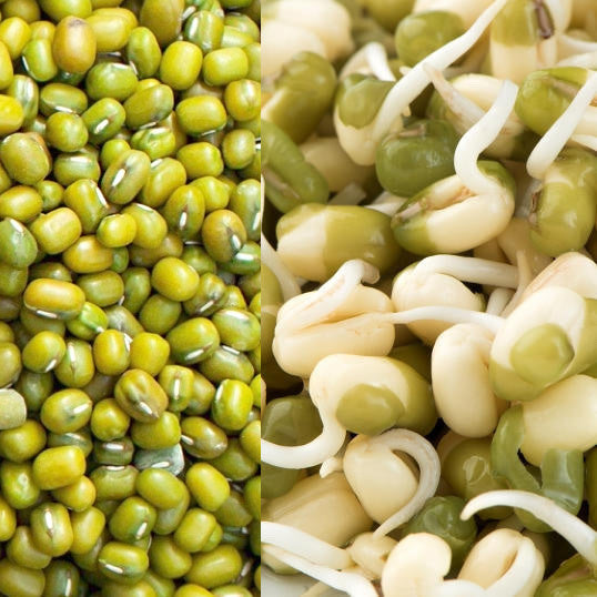 whole green raw mung beans besides sprouted fresh mung beans
