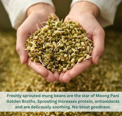Sprouted Mung Khichari: Mild Ginger &amp; Turmeric | 27g Plant Protein | 3 Servings
